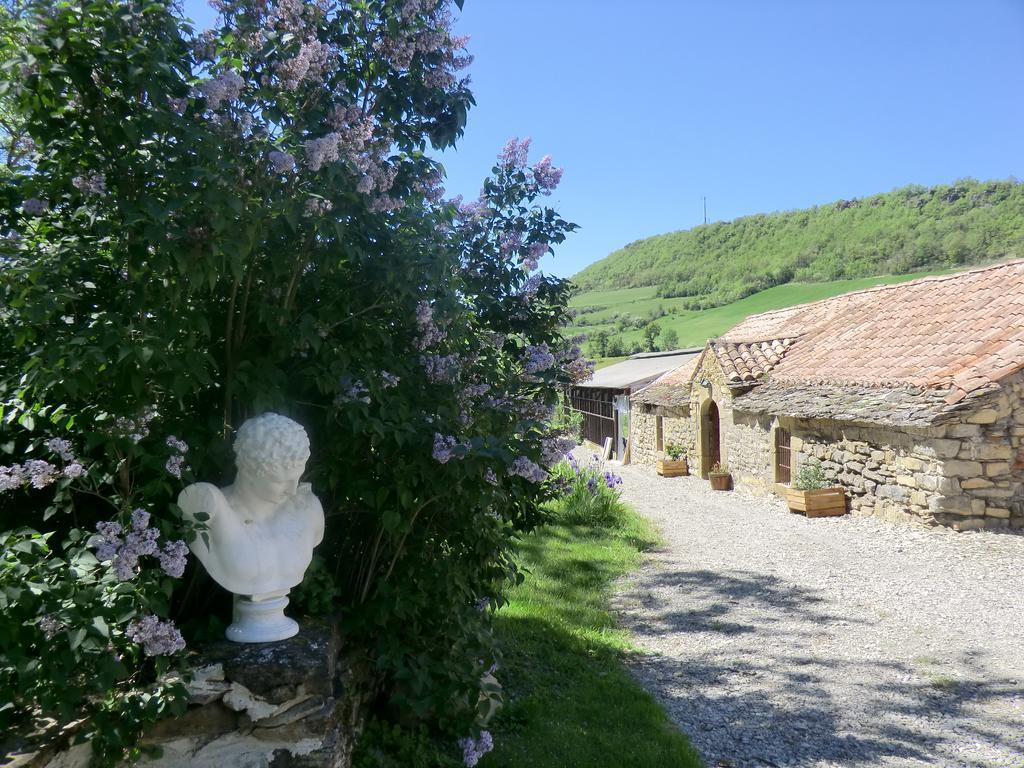 Bed and Breakfast Domaine D'Alcapies Saint-Jean-d'Alcapies Экстерьер фото